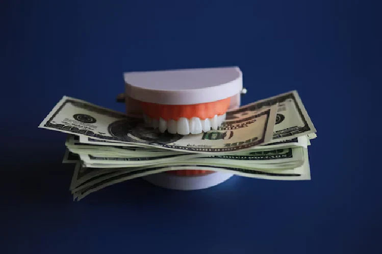  A dental model holding teeth between them