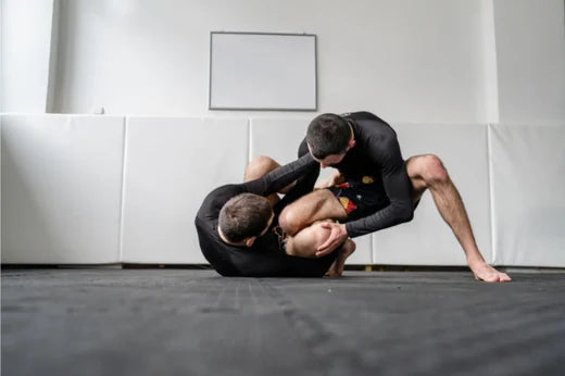 Jiu-Jitsu players