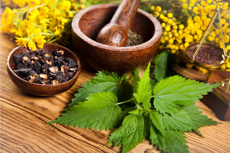 An image of natural herbs to treat tooth gaps.