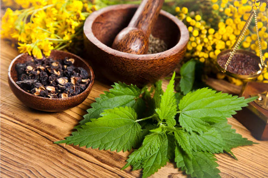 An image of natural herbs to treat tooth gaps.