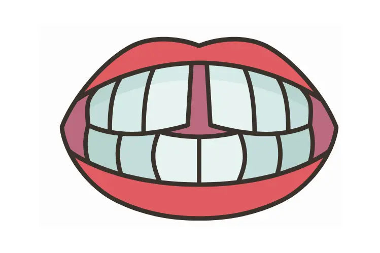  Illustration showing the gap between teeth