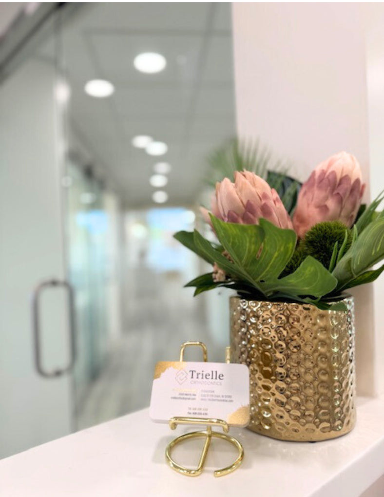 <h3>Schedule Your Teeth Straightening Appointment for  Dental Scans or Impressions at Trielle Orthodontics in Union, NJ</h3>