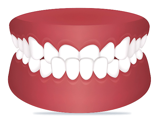 Fix Your Crossbite With ALIGNERCO
