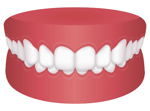 Fix Your Deep Bite With ALIGNERCO